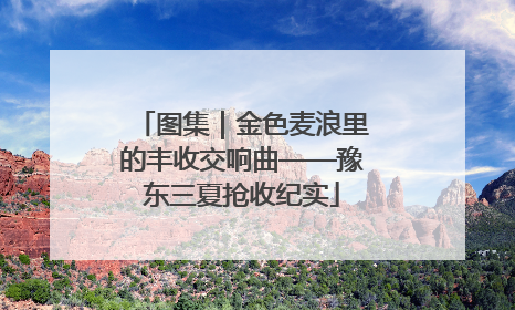 图集｜金色麦浪里的丰收交响曲——豫东三夏抢收纪实