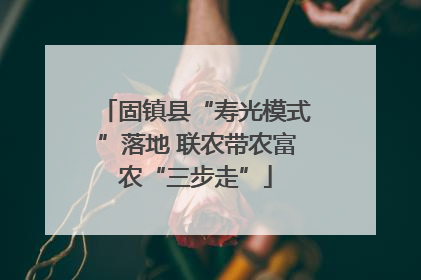 固镇县“寿光模式”落地 联农带农富农“三步走”