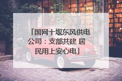 国网十堰东风供电公司：支部共建 居民用上安心电