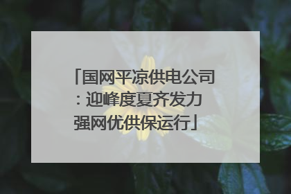 国网平凉供电公司：迎峰度夏齐发力 强网优供保运行
