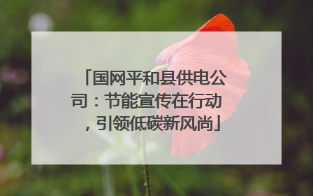 国网平和县供电公司：节能宣传在行动，引领低碳新风尚