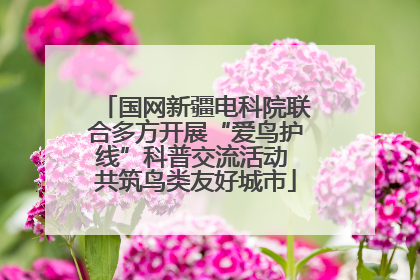 国网新疆电科院联合多方开展“爱鸟护线”科普交流活动 共筑鸟类友好城市