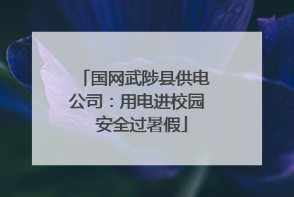 国网武陟县供电公司：用电进校园  安全过暑假