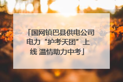 国网镇巴县供电公司 电力“护考天团”上线 温情助力中考