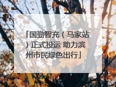 国勤智充（马家站）正式投运 助力滨州市民绿色出行