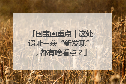 国宝画重点｜这处遗址三获“新发现”，都有啥看点？