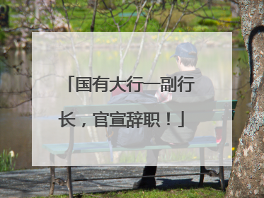 国有大行一副行长，官宣辞职！