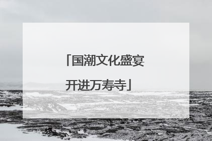 国潮文化盛宴开进万寿寺