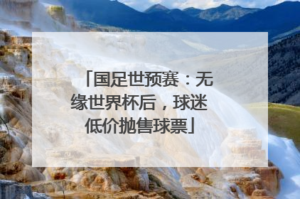 国足世预赛：无缘世界杯后，球迷低价抛售球票