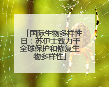 国际生物多样性日：苏伊士致力于全球保护和修复生物多样性