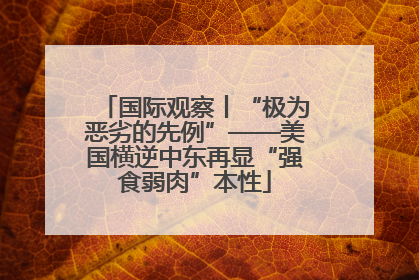 国际观察丨“极为恶劣的先例”——美国横逆中东再显“强食弱肉”本性