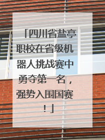 四川省盐亭职校在省级机器人挑战赛中勇夺第一名，强势入围国赛！