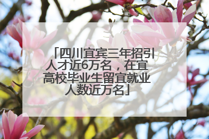 四川宜宾三年招引人才近6万名，在宜高校毕业生留宜就业人数近万名