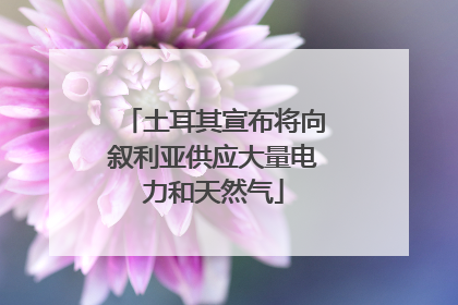 土耳其宣布将向叙利亚供应大量电力和天然气