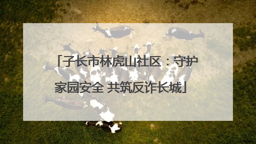 子长市林虎山社区：守护家园安全 共筑反诈长城