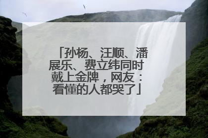 孙杨、汪顺、潘展乐、费立纬同时戴上金牌，网友：看懂的人都哭了