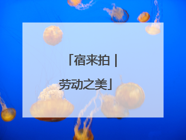 宿来拍｜劳动之美