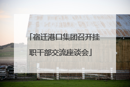 宿迁港口集团召开挂职干部交流座谈会