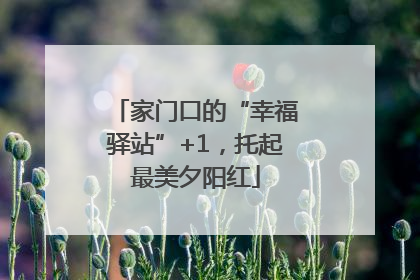 家门口的“幸福驿站”+1，托起最美夕阳红