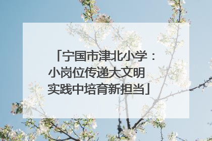 宁国市津北小学：小岗位传递大文明 实践中培育新担当