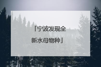 宁波发现全新水母物种