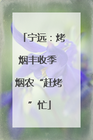 宁远：烤烟丰收季 烟农“赶烤”忙