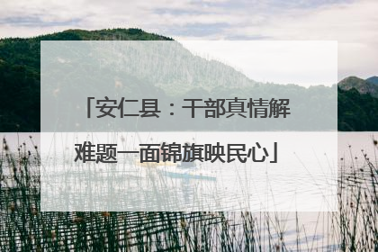 安仁县：干部真情解难题一面锦旗映民心