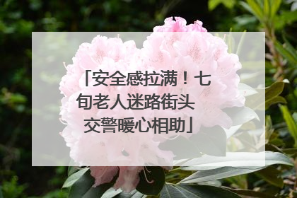 安全感拉满！七旬老人迷路街头 交警暖心相助