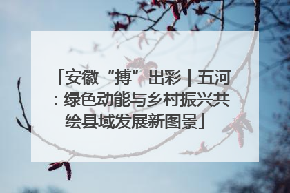 安徽“搏”出彩｜五河：绿色动能与乡村振兴共绘县域发展新图景