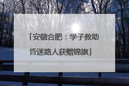 安徽合肥：学子救助昏迷路人获赠锦旗