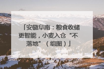 安徽阜南：粮食收储更智能，小麦入仓“不落地”（组图）