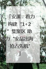 安溪：着力构建“1+2”集聚区 助力“安品出海·抢占先机”