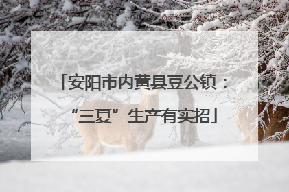 安阳市内黄县豆公镇：“三夏”生产有实招