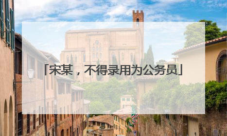 宋某，不得录用为公务员