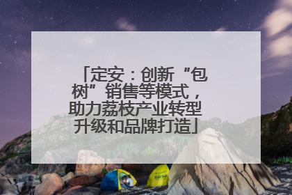 定安：创新“包树”销售等模式，助力荔枝产业转型升级和品牌打造