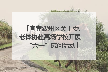 宜宾叙州区关工委、老体协赴高场学校开展“六一”慰问活动