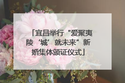 宜昌举行“爱聚夷陵‘城’就未来”新婚集体颁证仪式