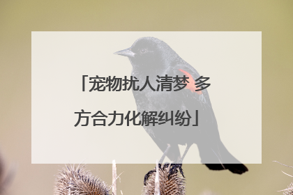 宠物扰人清梦 多方合力化解纠纷