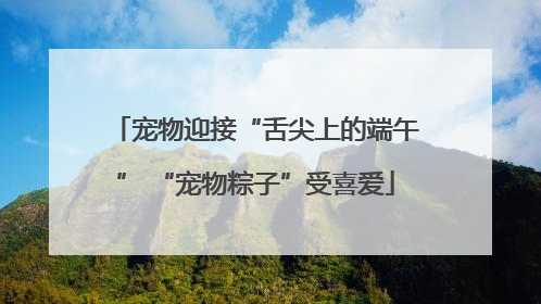 宠物迎接“舌尖上的端午” “宠物粽子”受喜爱