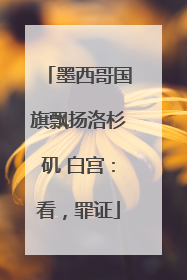 墨西哥国旗飘扬洛杉矶 白宫：看，罪证