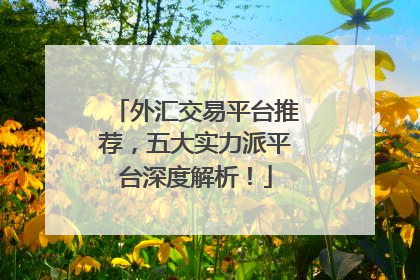 外汇交易平台推荐，五大实力派平台深度解析！