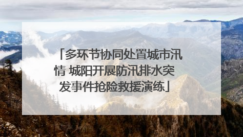 多环节协同处置城市汛情 城阳开展防汛排水突发事件抢险救援演练