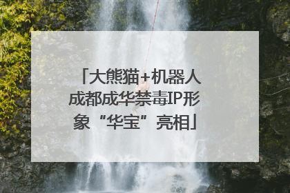 大熊猫+机器人 成都成华禁毒IP形象“华宝”亮相