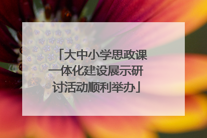 大中小学思政课一体化建设展示研讨活动顺利举办