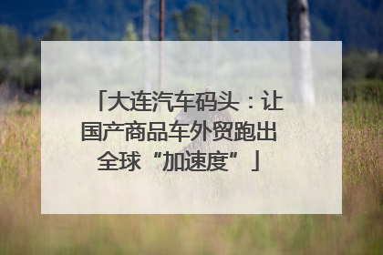 大连汽车码头：让国产商品车外贸跑出全球“加速度”