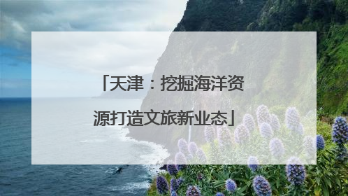 天津：挖掘海洋资源打造文旅新业态
