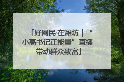 好网民·在潍坊｜“小高书记正能量”直播 带动群众致富