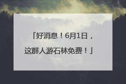 好消息！6月1日，这群人游石林免费！