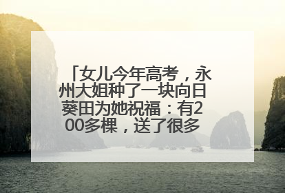 女儿今年高考，永州大姐种了一块向日葵田为她祝福：有200多棵，送了很多给其他家长