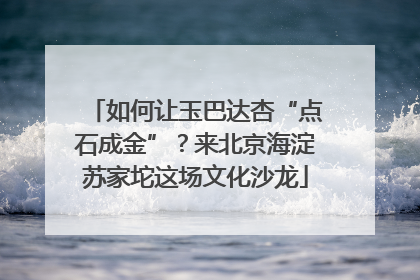 如何让玉巴达杏“点石成金”？来北京海淀苏家坨这场文化沙龙
